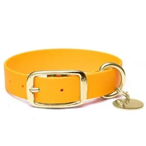 Zgardă din biothane TOTO Accessories Daily, culoare Tangerine + Gold