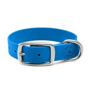 Zgardă Daily din Biothane Doctor Totolici, culoare Blue