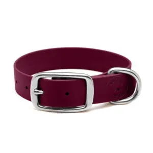 Zgardă Daily din Biothane Doctor Totolici, culoare Burgundy