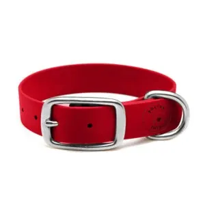 Zgardă Daily din Biothane Doctor Totolici, culoare Red Touch