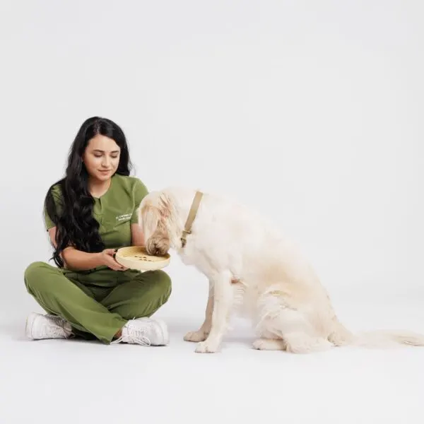 bol pentru hranire lenta caini doctor totolici romania - recomandare veterinar (8)