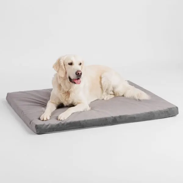 Pernă ortopedică pentru câini cu miez din latex și material hidrofob Doctor Totolici, culoare Grey