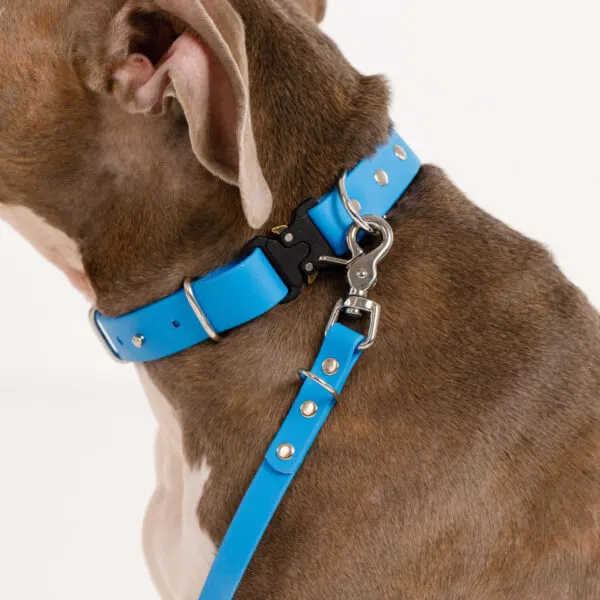 zgarda biothane caini doctor totolici blue quick release