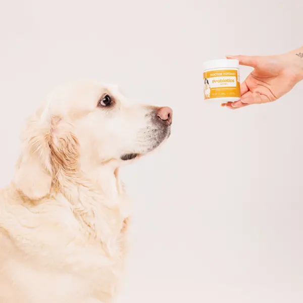 supliment caini pudra doctor totolici probiotic
