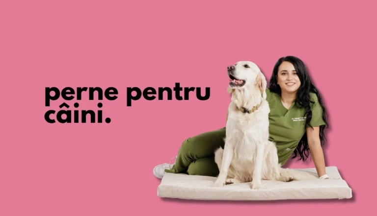 Perne pentru câini