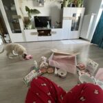 Puppy Starter Kit Pink photo review