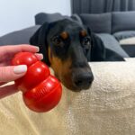Jucărie interactivă pentru câini KONG Classic photo review