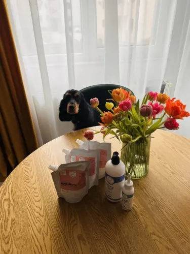 Click to view full screen Pachet TOTO Dog Essentials Doctor Totolici, 4 produse photo review