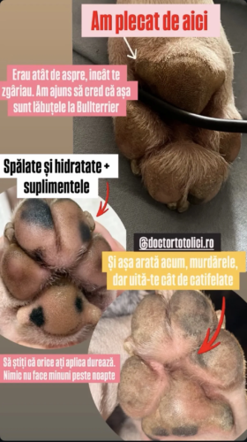 Click to view full screen Supliment pentru imunitate Doctor Totolici Immunity Boost, 100 g photo review