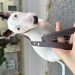 Lesă Hands-Free din Biothane Doctor Totolici, culoare Espresso photo review
